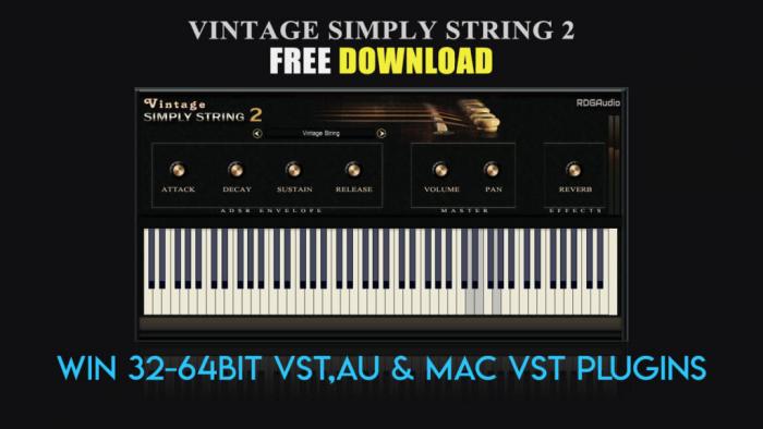 loopazon vintage simply string 2 RDG Audio Download