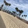 Trap Acoustic Guitar in Bm 118 BPM Inspired by Young Thug